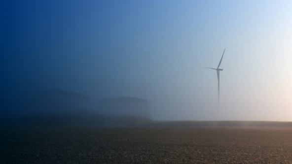 Putting capital to work to help support Fern’s long-term growth