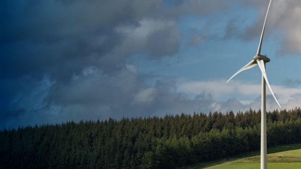 How Fern manages energy price volatility – April 2026 update