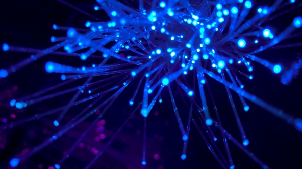 Behind your broadband: understanding fibre and Fern’s fibre businesses 