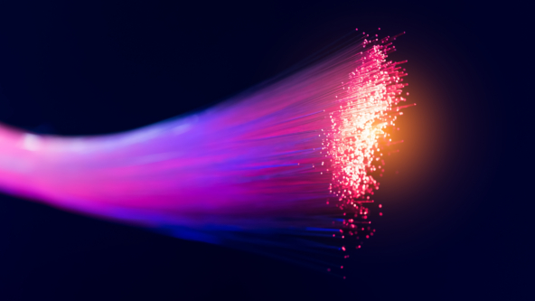 Fern’s fibre strategy in an evolving market 